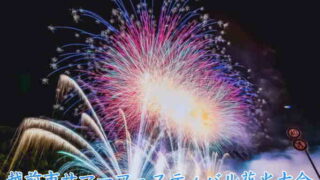 越前市サマーフェスティバル花火大会