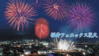 福井フェニックス花火