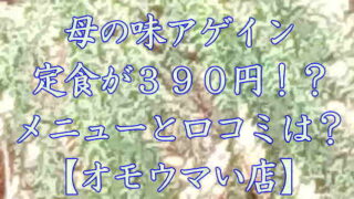 母の味アゲイン