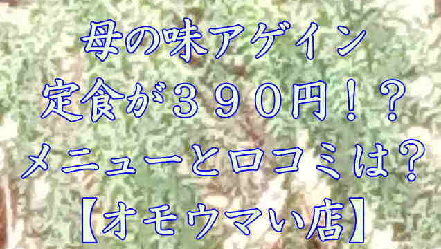 母の味アゲイン