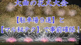 大曲の花火大会