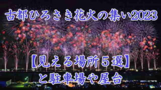 古都ひろさき花火の集い