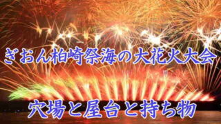 ぎおん柏崎まつり海の大花火大会