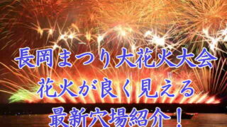 長岡まつり大花火大会