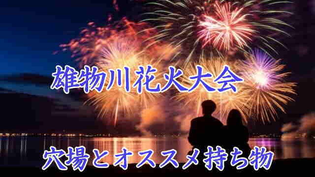 RAIN様専用ページ びわ湖花火大会 5人分 ファッションの その他 | bca