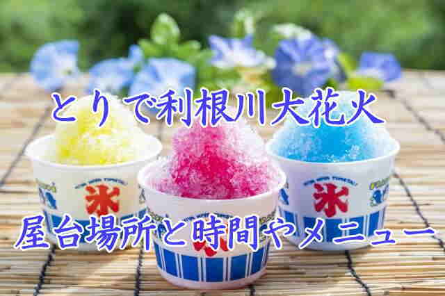 とりで利根川大花火