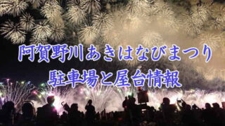 阿賀野川あきはなびまつり