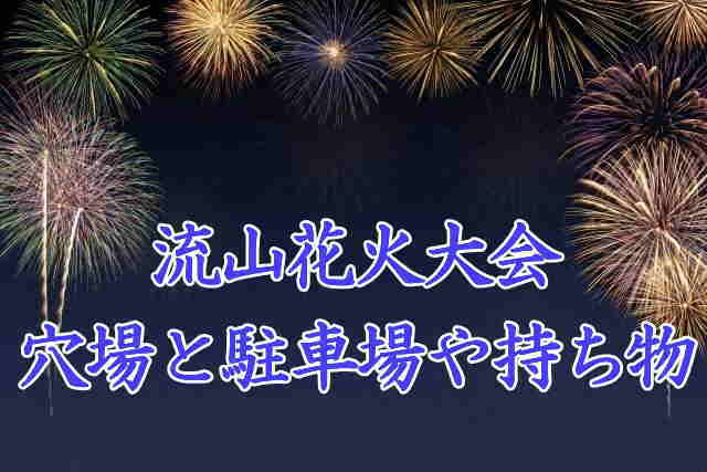 流山花火大会