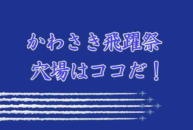 かわさき飛躍祭にブルーインパルス