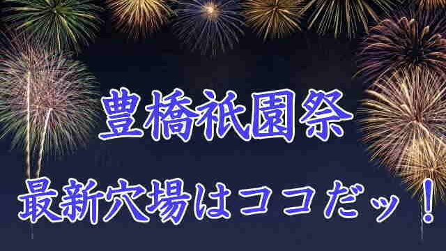 豊橋祇園祭花火大会の穴場
